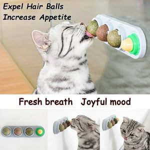 4-in-1 Catnip Silvervine Ball Toy – Teeth Cleaning & Wellness