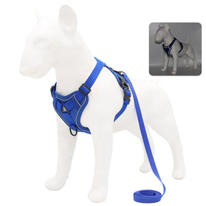 Dog Harness and Leash Set for Small Dogs & Puppies