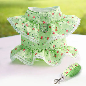 Pet Chest Harness & Leash – Stylish Dog and Cat Walking Set