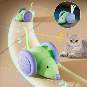 Interactive Electric Mouse Cat Toy – Rechargeable Smart Teaser Car