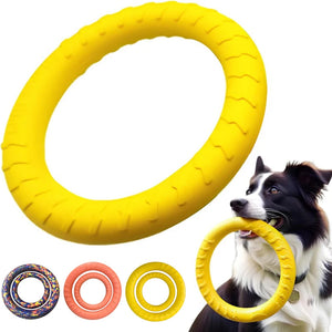 Durable Flying Disc Dog Toy – Interactive Training Ring