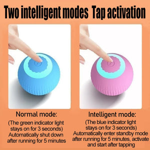 Automatic Interactive Cat Ball Toy for Indoor Cats
