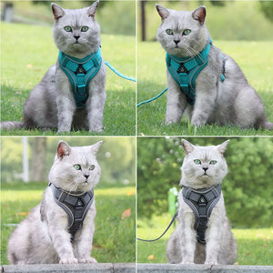 Dog Harness and Leash Set for Small Dogs & Puppies