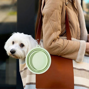 SEO Title: 350ml Collapsible Pet Bowl – Portable Dog & Cat Water Bowl