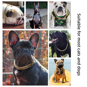 Premium Gold Chain Pet Collar – Adjustable Dog & Cat Necklace