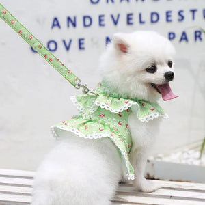 Pet Chest Harness & Leash – Stylish Dog and Cat Walking Set