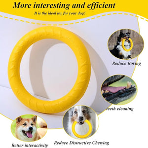 Durable Flying Disc Dog Toy – Interactive Training Ring