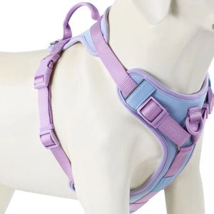 Luxury No-Pull Dog Harness – Adjustable for All Sizes