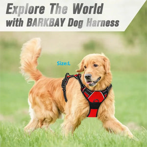 Dog Collar, Harness & Leash Set for Small and Medium Dogs