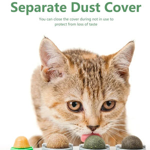 4-in-1 Catnip Silvervine Ball Toy – Teeth Cleaning & Wellness