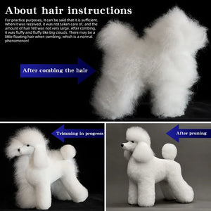 SEO Title: Poodle Dog Grooming Practice Model – Full Body Pet Grooming Dummy