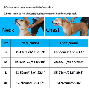 Luxury No-Pull Dog Harness – Adjustable for All Sizes