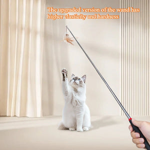 Interactive Cat Wand Toy – Retractable Fishing Pole for Indoor Cats