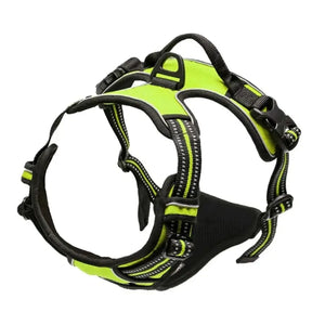Dog Collar, Harness & Leash Set for Small and Medium Dogs