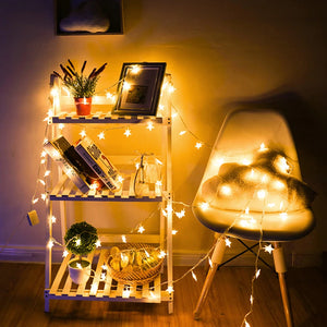 LED Star Fairy Lights for Home & Garden