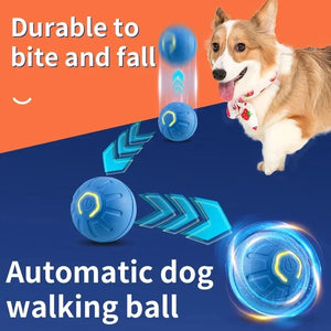 SEO Title: Interactive Smart Pet Ball Toy – USB Rechargeable Moving Ball for Dogs & Cats