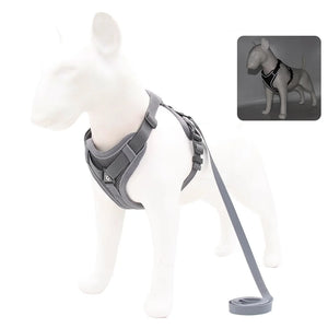 Dog Harness and Leash Set for Small Dogs & Puppies