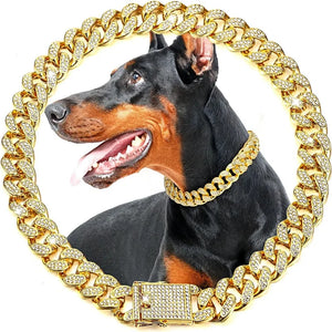SEO Title: Luxury Gold Metal Chain Collar for Dogs & Cats | Pet Necklace