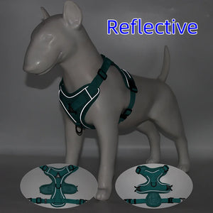 Dog Harness and Leash Set for Small Dogs & Puppies