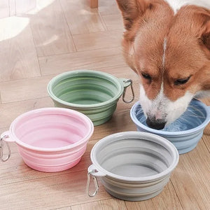 SEO Title: 350ml Collapsible Pet Bowl – Portable Dog & Cat Water Bowl