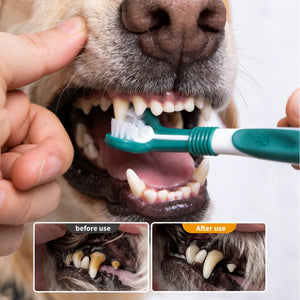 SEO Title: 3-Sided Pet Toothbrush for Dogs & Cats – Teeth Cleaning Tool
