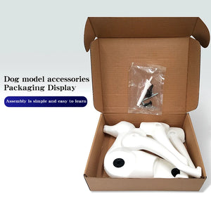 SEO Title: Poodle Dog Grooming Practice Model – Full Body Pet Grooming Dummy