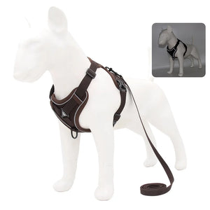 Dog Harness and Leash Set for Small Dogs & Puppies