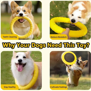 Durable Flying Disc Dog Toy – Interactive Training Ring