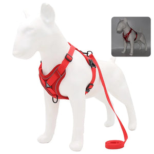 Dog Harness and Leash Set for Small Dogs & Puppies
