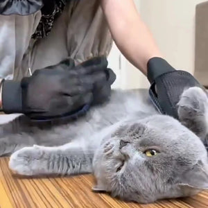 Silicone Pet Grooming Gloves for Dogs & Cats – Hair Remover