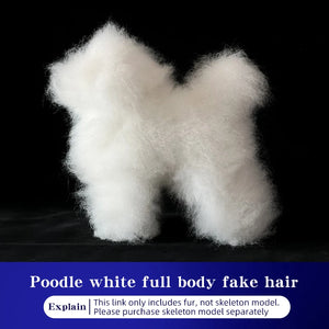 SEO Title: Poodle Dog Grooming Practice Model – Full Body Pet Grooming Dummy