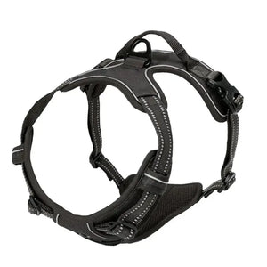 Dog Collar, Harness & Leash Set for Small and Medium Dogs