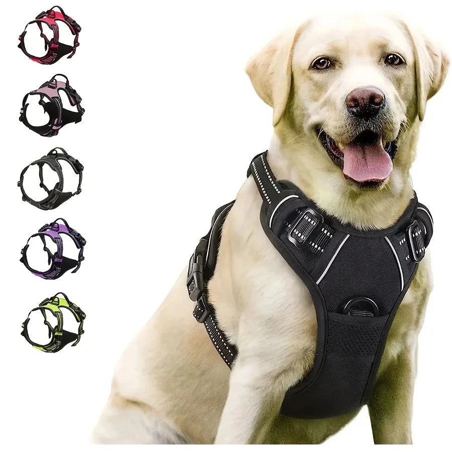 Dog Collar, Harness & Leash Set for Small and Medium Dogs