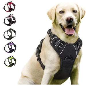 Dog Collar, Harness & Leash Set for Small and Medium Dogs