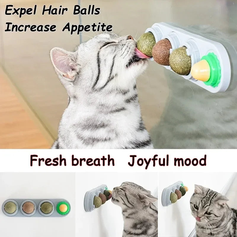 4-in-1 Catnip Silvervine Ball Toy – Teeth Cleaning & Wellness