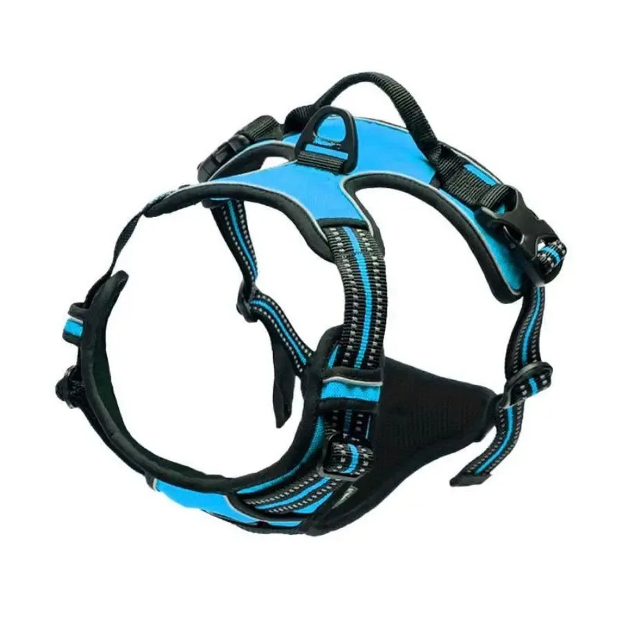 Dog Collar, Harness & Leash Set for Small and Medium Dogs