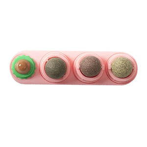 4-in-1 Catnip Silvervine Ball Toy – Teeth Cleaning & Wellness