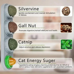 4-in-1 Catnip Silvervine Ball Toy – Teeth Cleaning & Wellness