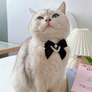 Pearl Bow Pet Collar – Double-Layer Necklace for Cats & Small Dogs