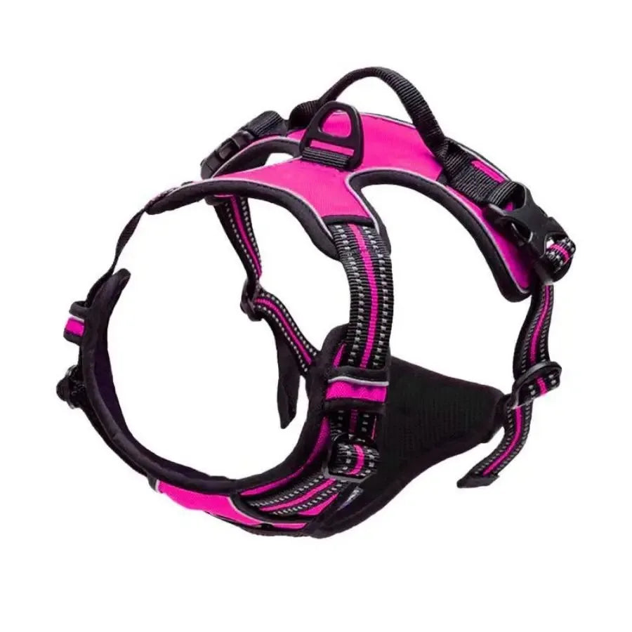 Dog Collar, Harness & Leash Set for Small and Medium Dogs