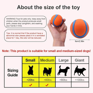 Interactive Rubber Dog Ball – Chew, Training & Teeth Cleaning Toy