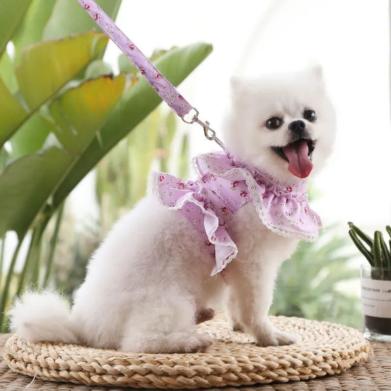 Pet Chest Harness & Leash – Stylish Dog and Cat Walking Set