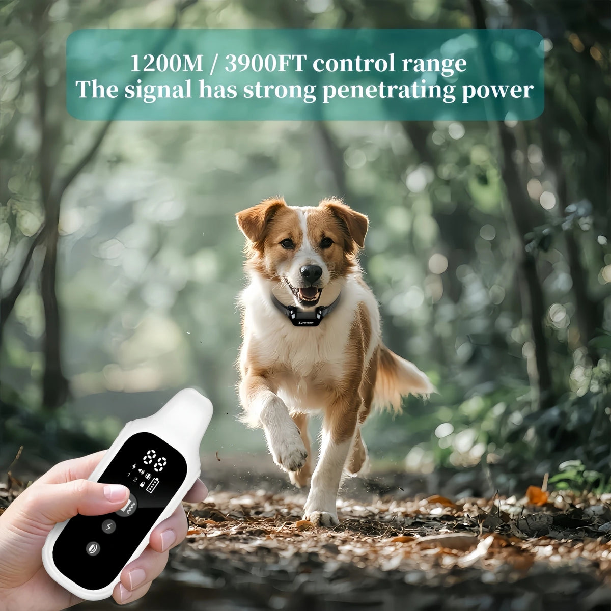 800m Waterproof Dog Training Collar with Remote Control