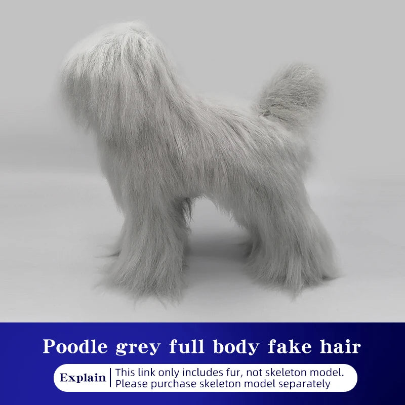 SEO Title: Poodle Dog Grooming Practice Model – Full Body Pet Grooming Dummy