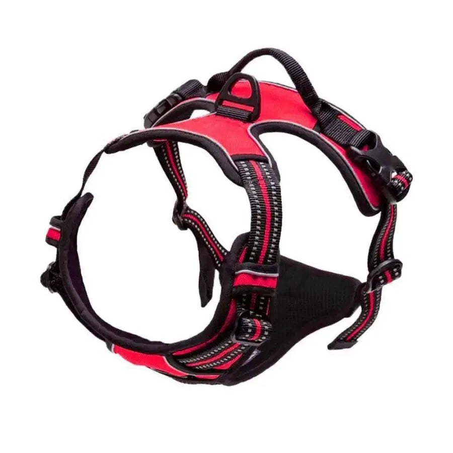 Dog Collar, Harness & Leash Set for Small and Medium Dogs