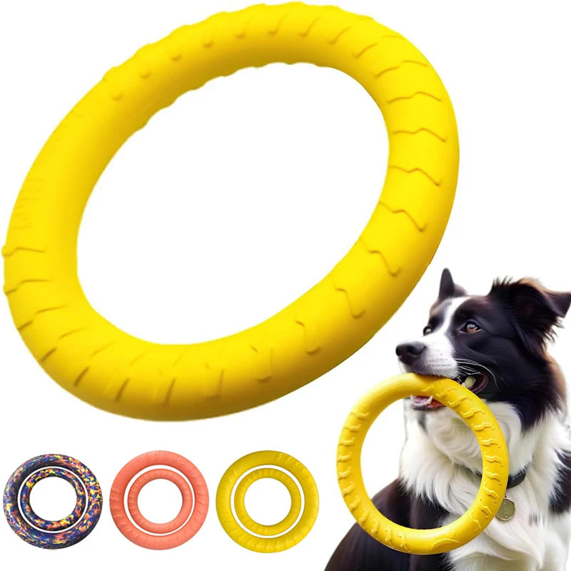 Durable Flying Disc Dog Toy – Interactive Training Ring