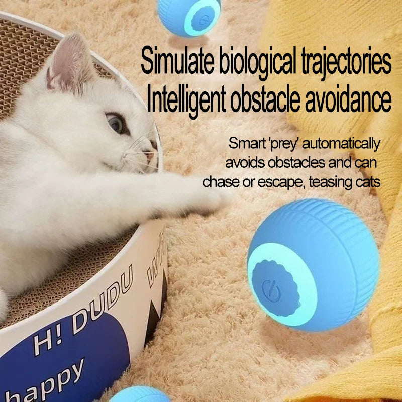 Automatic Interactive Cat Ball Toy for Indoor Cats