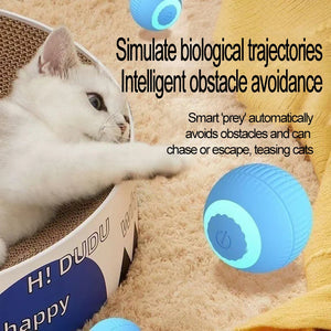 Automatic Interactive Cat Ball Toy for Indoor Cats