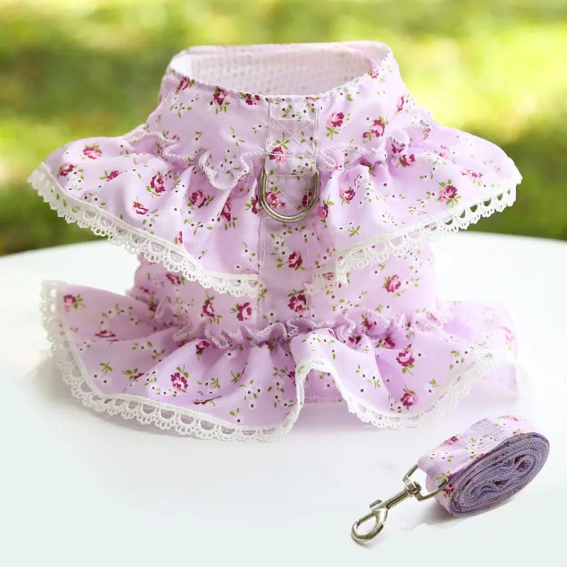 Pet Chest Harness & Leash – Stylish Dog and Cat Walking Set