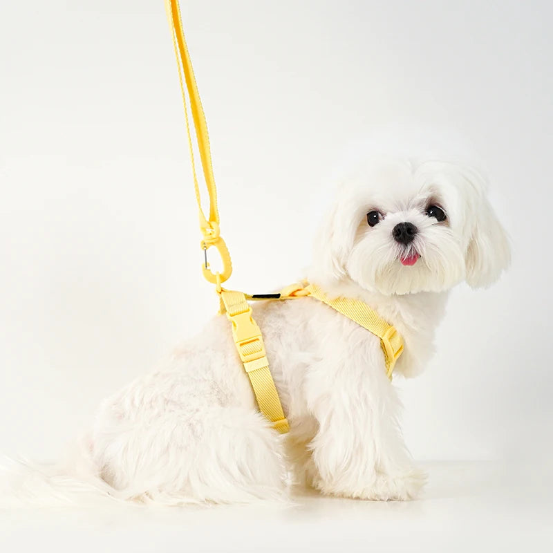 Adjustable Reflective Dog Harness, Collar & Leash Set